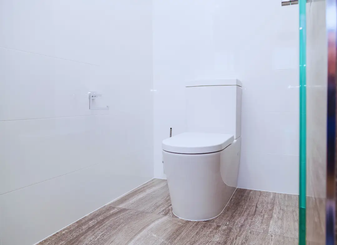Remplacement de wc Septèmes-les-Vallons